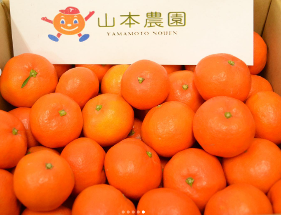 ※画像はイメージです。