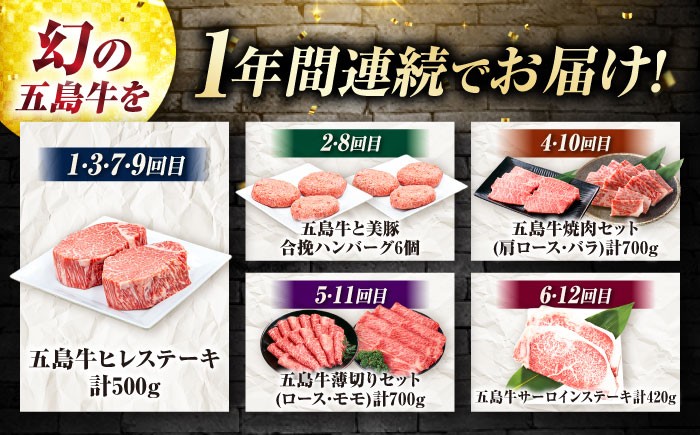 牛肉 和牛 五島列島 五島市 ステーキ すてーき ハンバーグ はんばーぐ 薄切り 焼き肉 焼肉 定期便
