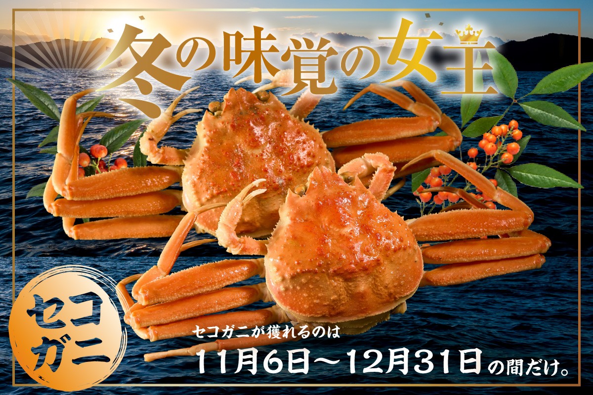 セコガニの漁期期間は「11月6日～12月31日」の間だけ。
まさに冬の味覚の女王なんです！