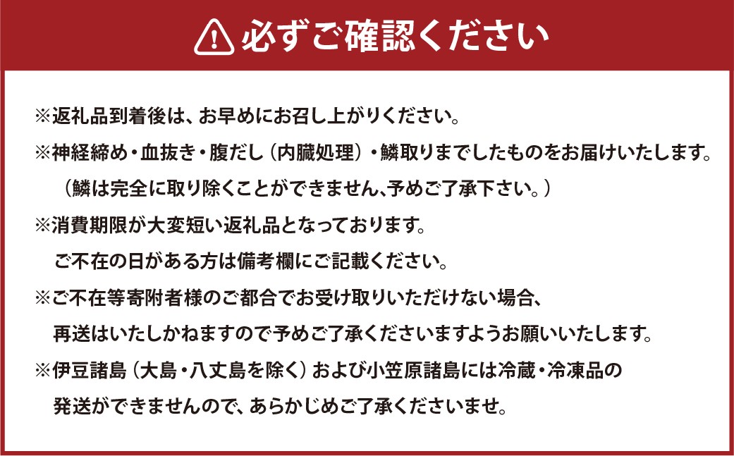 【premiumfishbrand】ゆうこう真鯛（活〆）×1尾（約1.5kg）