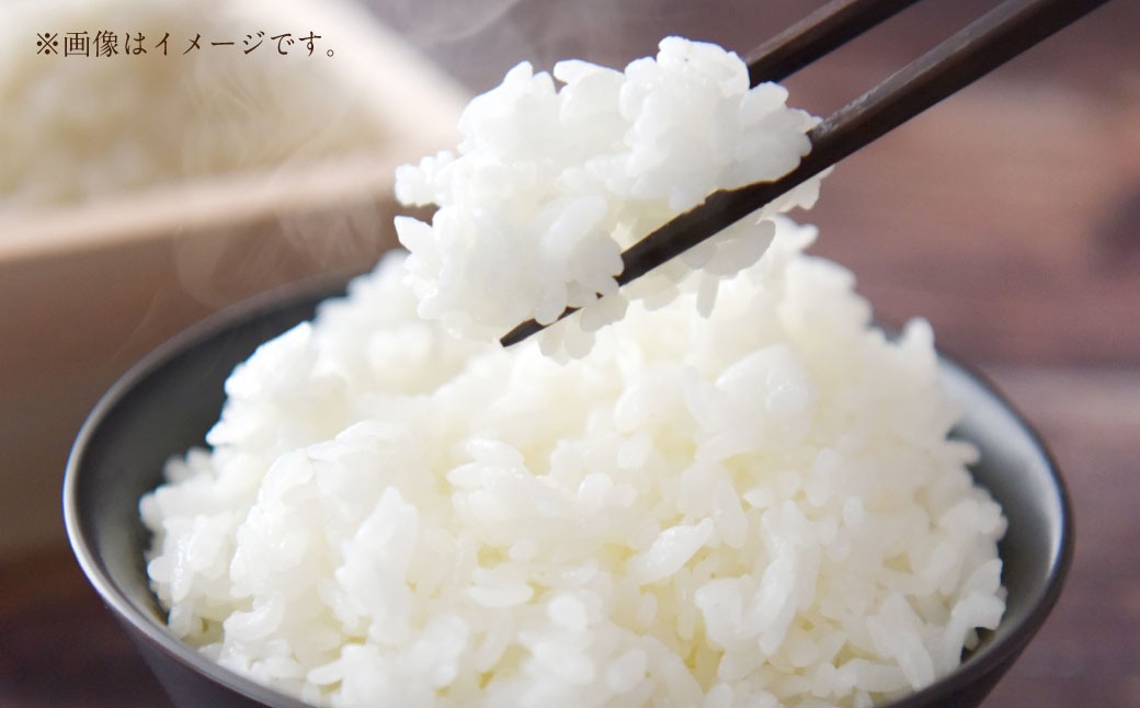令和7年産 岐阜県美濃加茂市蜂屋地区で作ったお米 ハツシモ 5kg