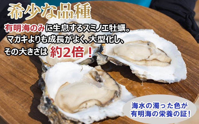 天然 有明海産「冷蔵スミノエ牡蠣」スミ☆スター5Kg 殻付き牡蠣 かき 牡蠣 カキ 鍋 海産物 貝類 貝 はしま海苔 