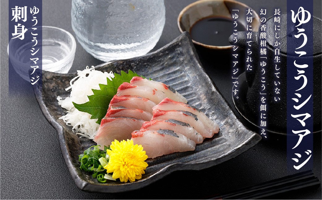 【premiumfishbrand】ゆうこうシマアジ（活〆）×1尾（約1）