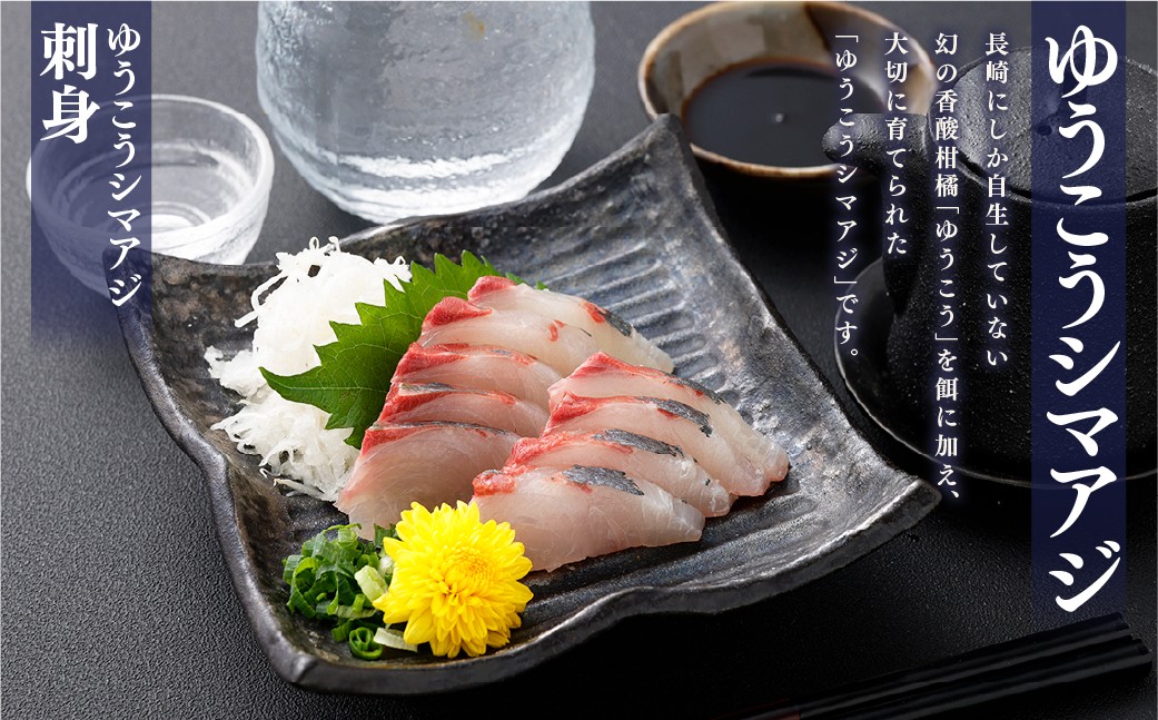 【premiumfishbrand】ゆうこうシマアジ、ゆうこう真鯛