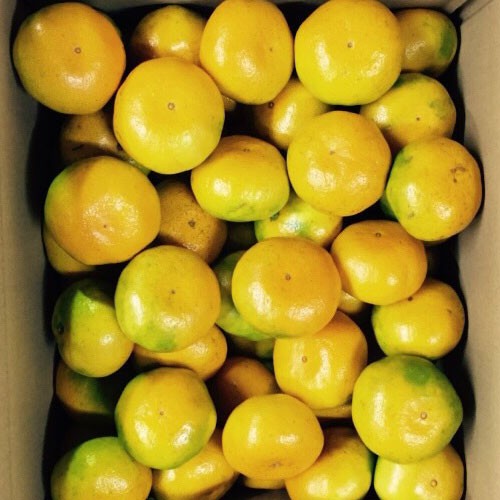 ※画像はイメージです。