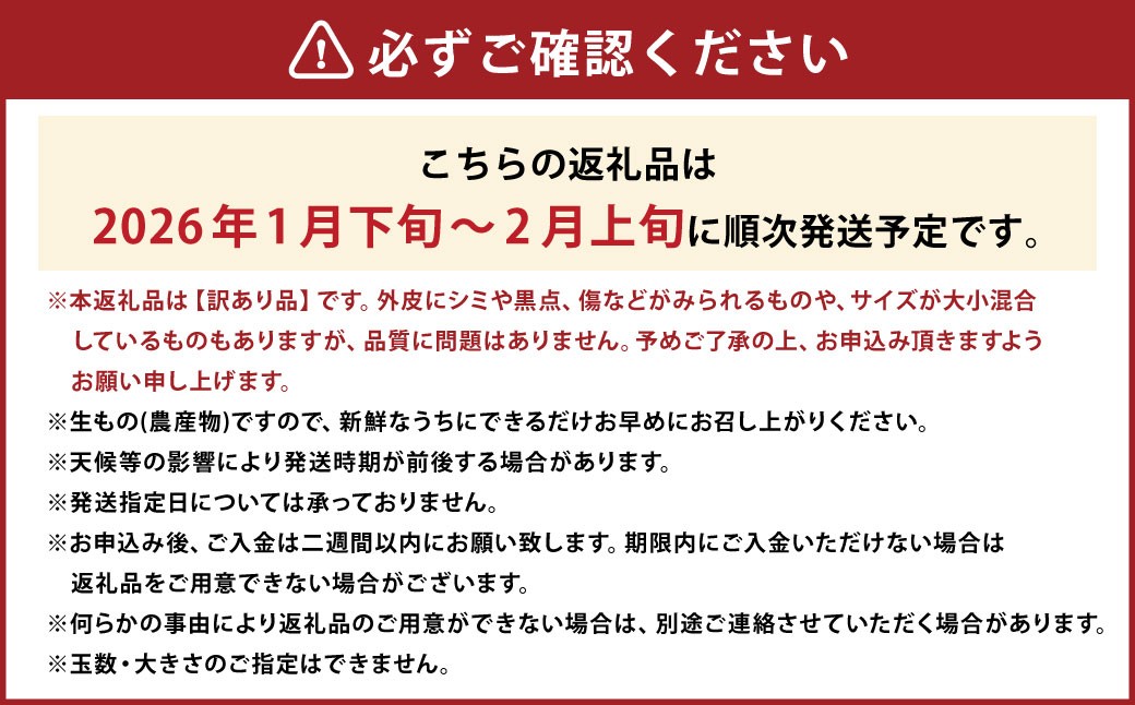 【訳あり】 ぽんかん 10kg【えひめの町（超）推し！（愛南町）】（563）