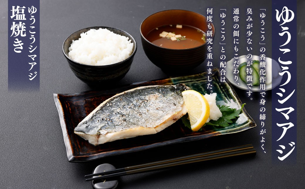 【premiumfishbrand】ゆうこうシマアジ（活〆）×1尾（約1）