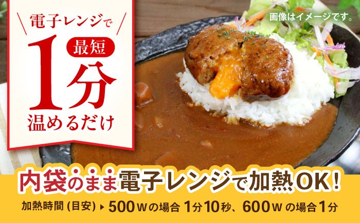 【小分け】日本ハム レストラン仕様カレー甘口10パックセット(1パック4袋入り)計40食分