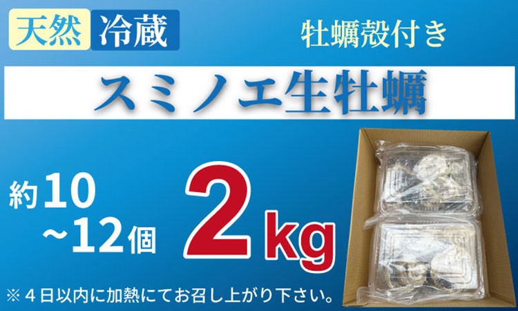 天然 有明海産「冷蔵スミノエ牡蠣」スミ☆スター2Kg 殻付き牡蠣 かき 牡蠣 カキ 鍋 海産物 貝類 貝 はしま海苔