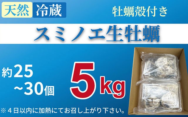 天然 有明海産「冷蔵スミノエ牡蠣」スミ☆スター5Kg 殻付き牡蠣 かき 牡蠣 カキ 鍋 海産物 貝類 貝 はしま海苔 