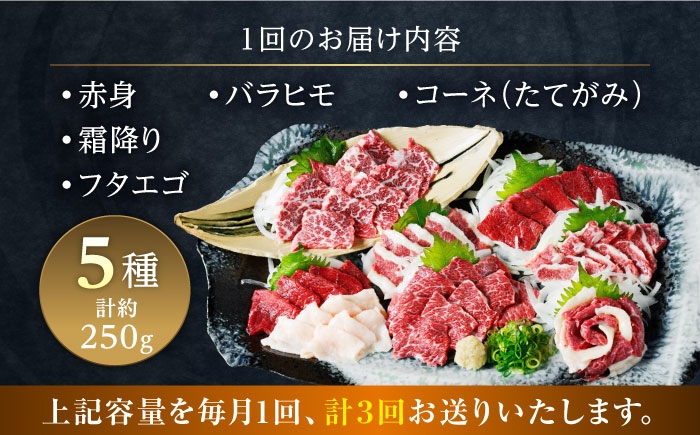 馬刺し 5種 盛り合わせセット 5人前 約250g 熊本直送