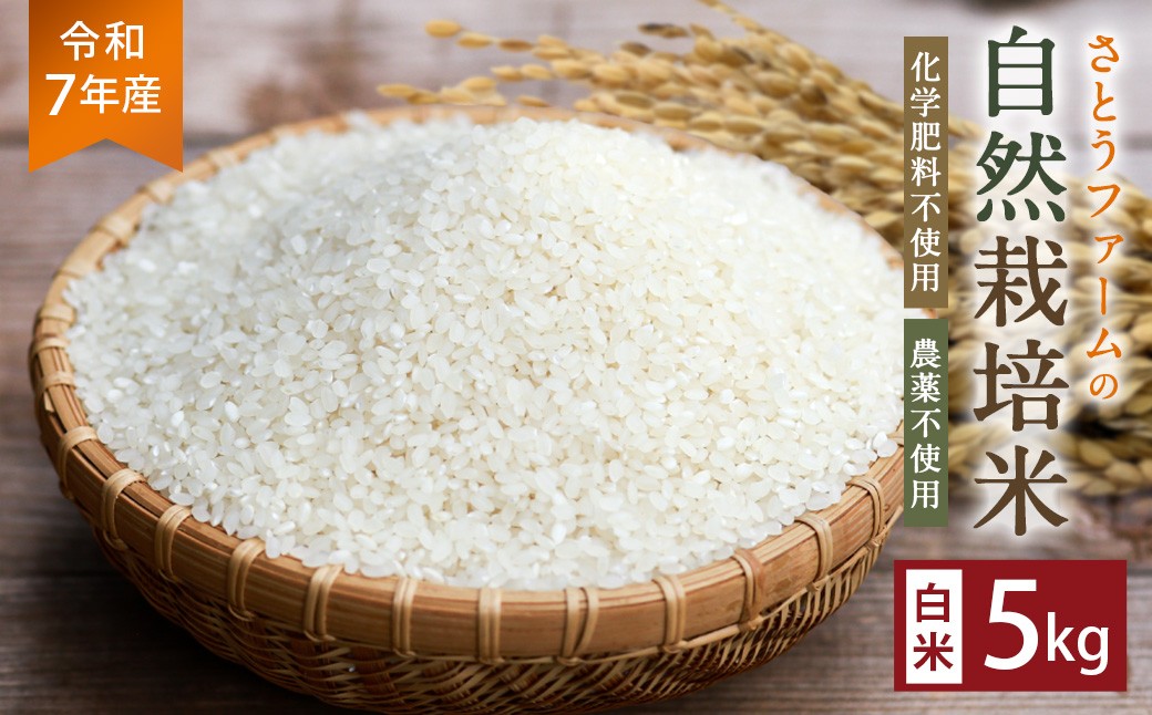 【令和7年産】さとうファームの自然栽培米（白米5kg）