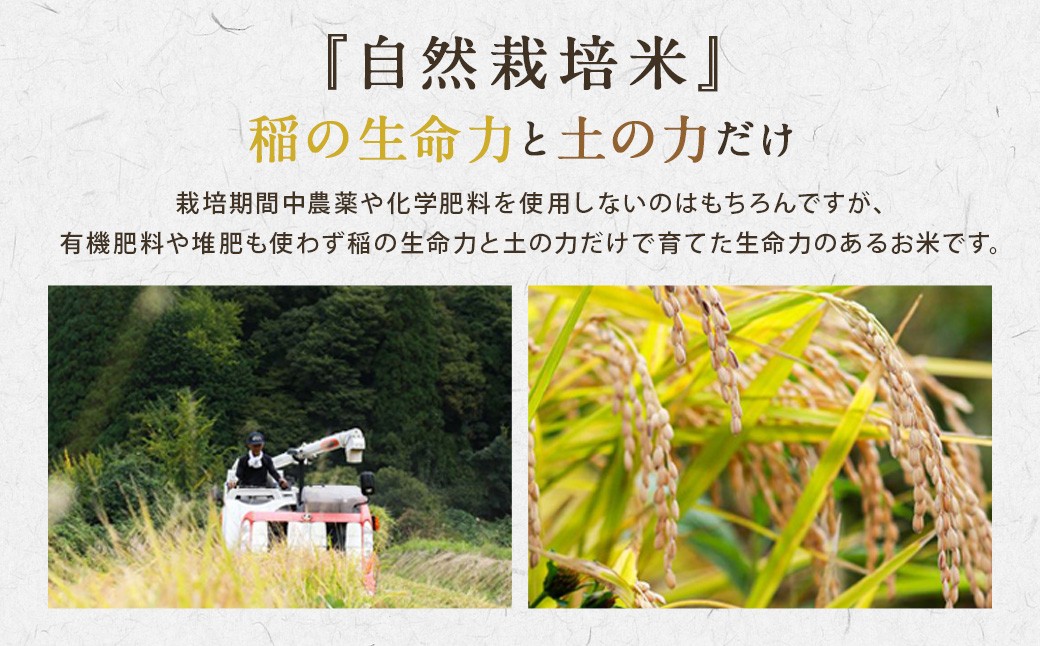 【6ヵ月定期便】さとうファームの自然栽培米（玄米5kg）