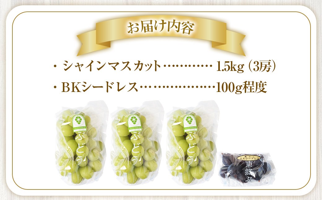 【先行予約】 朝採れ シャインマスカット （種なし） 1.5kg（3房） お試し用 朝採れ BKシードレス付き（100g程度）