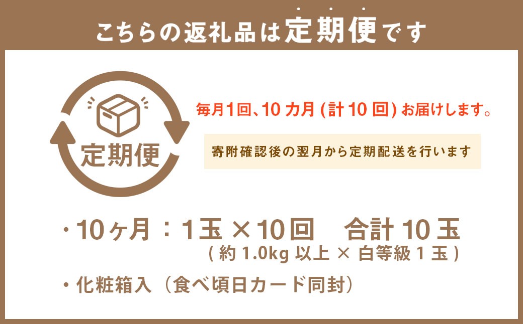 静岡県産 高級 アローマメロン