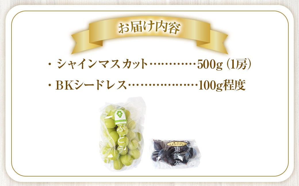 【先行予約】 朝採れ シャインマスカット （種なし） 500g（1房） お試し用 朝採れ BKシードレス付き（100g程度） 