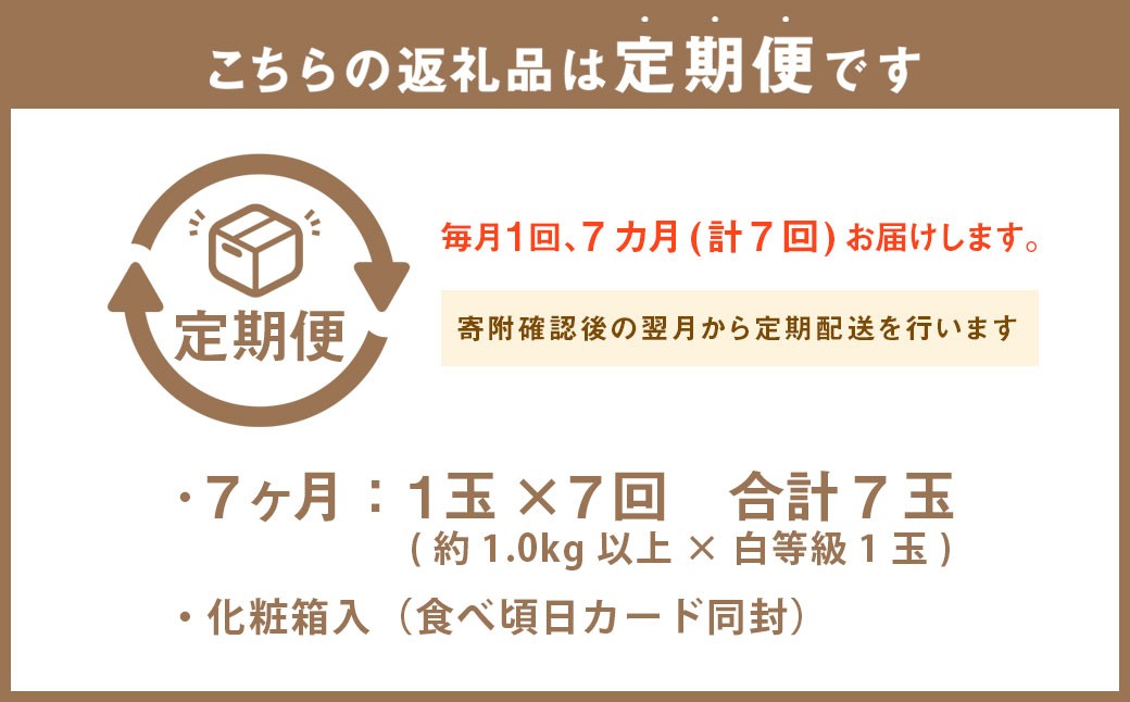 静岡県産 高級 アローマメロン