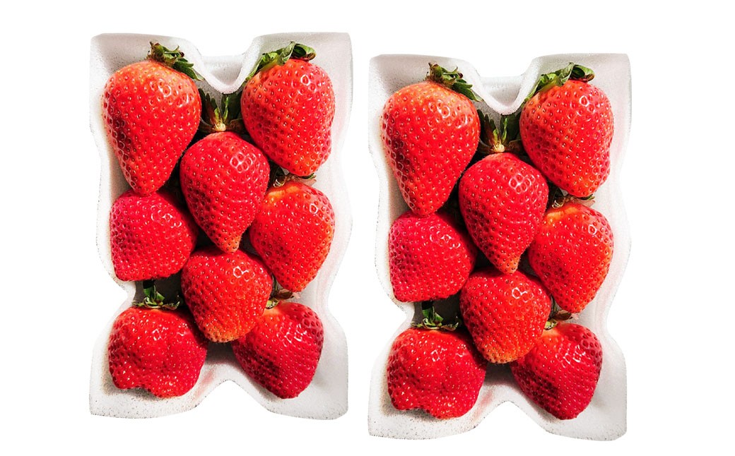 【3ヶ月定期便】あまおう2パック×3回