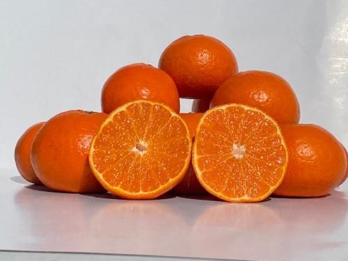 みはや紅みかん