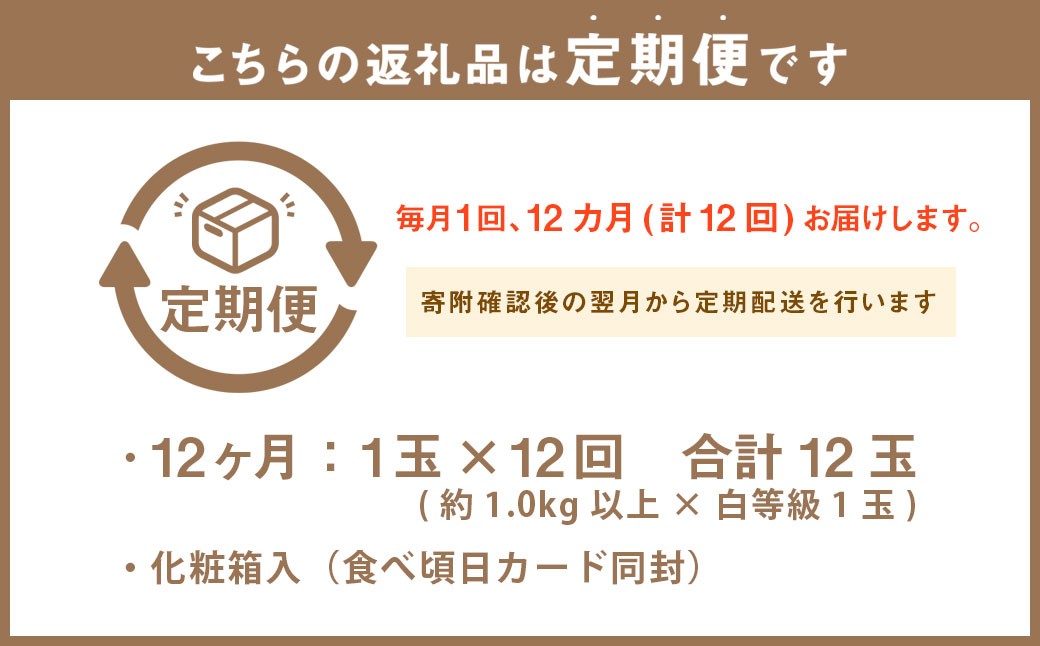 静岡県産 高級 アローマメロン 