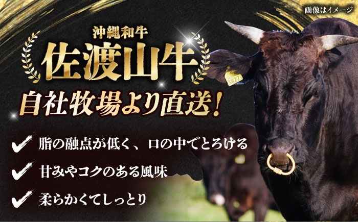 沖縄県産和牛 サーロインステーキ さーろいんすてーき ステーキ さーろいん すてーき ステーキ肉 すてーき肉 牛 黒毛和牛