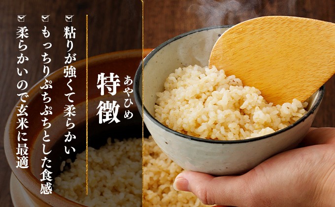 楽チン♪あやひめ玄米ごはん150g×20個