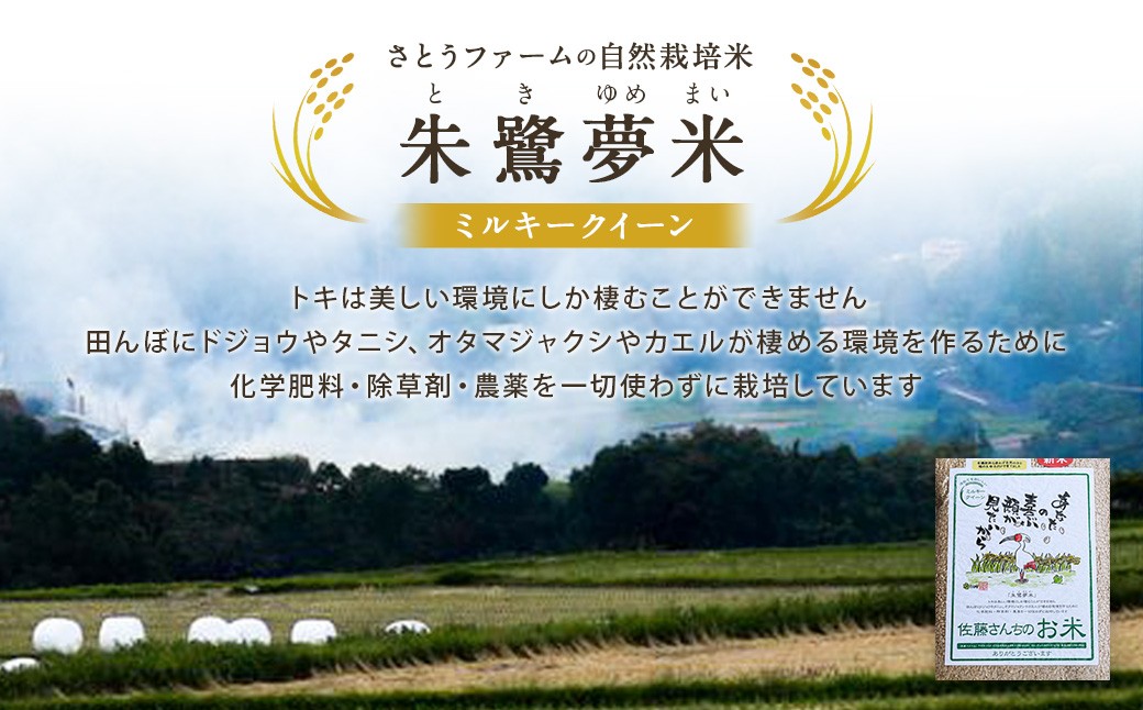 【3ヶ月定期便】さとうファームの自然栽培米（玄米5kg）