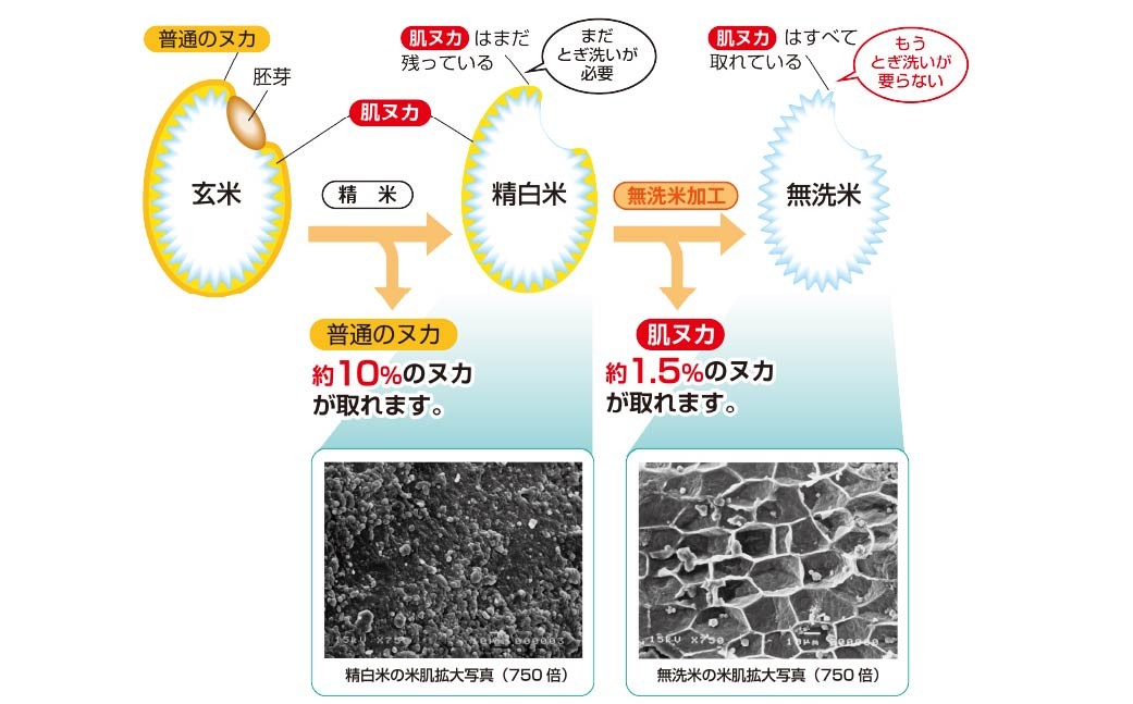子育て応援米【令和7年産】奈義町産米 BG無洗米 あきたこまち5kg【窒素充填包装】