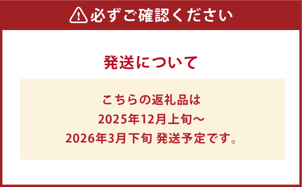 特選いちご 化粧箱入り 2パック 約900g 倉敷産