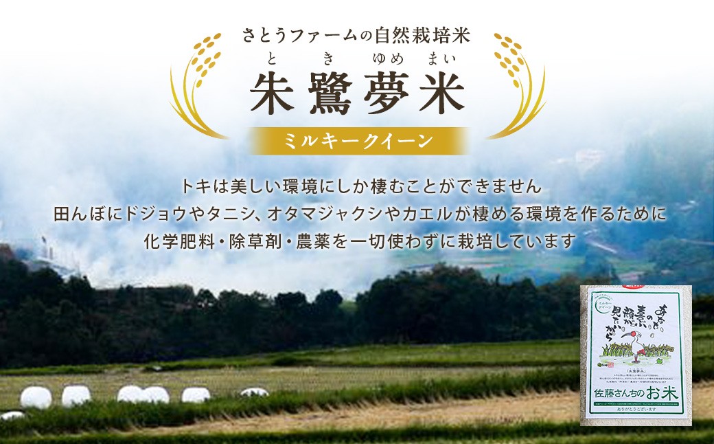【令和7年産】さとうファームの自然栽培米（白米5kg）