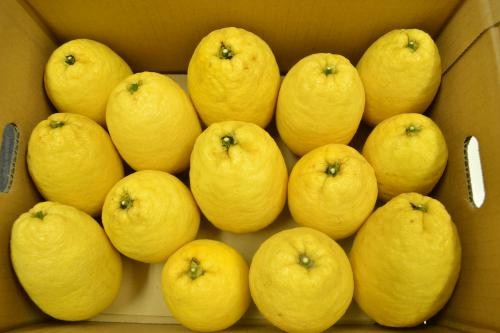 ※画像はイメージです。