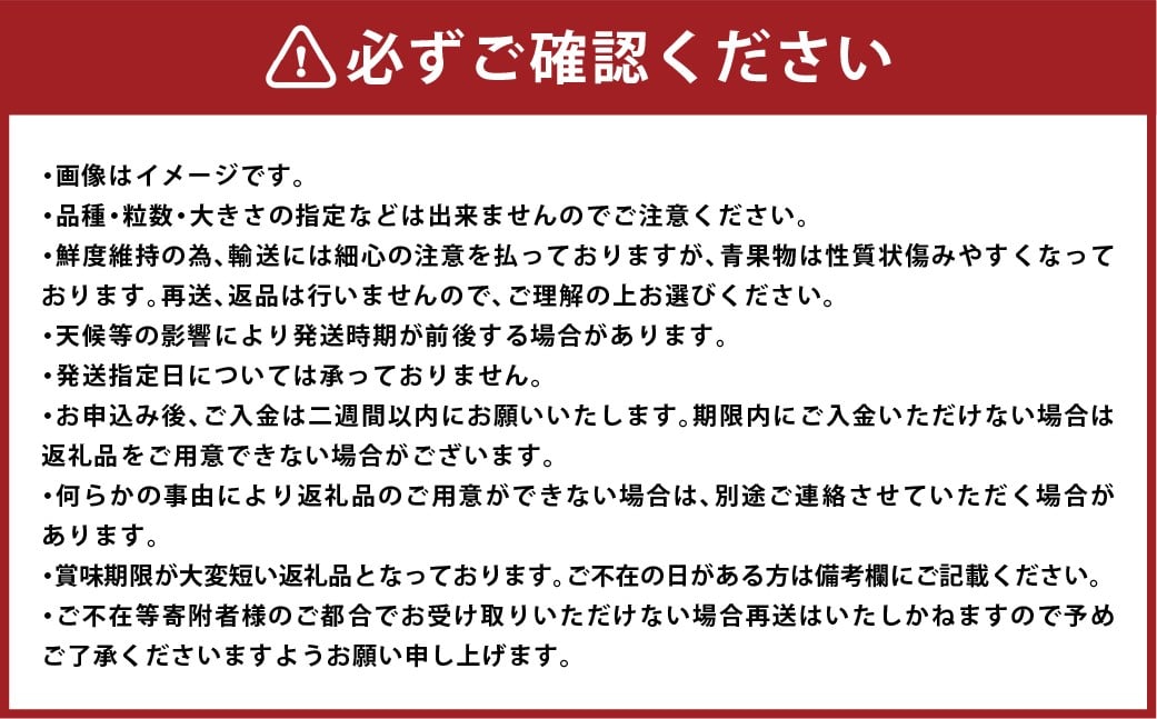 いちご おまかせ 4パック 箱詰め 約1080g 倉敷産