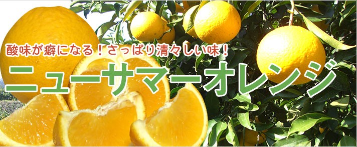 山本農園