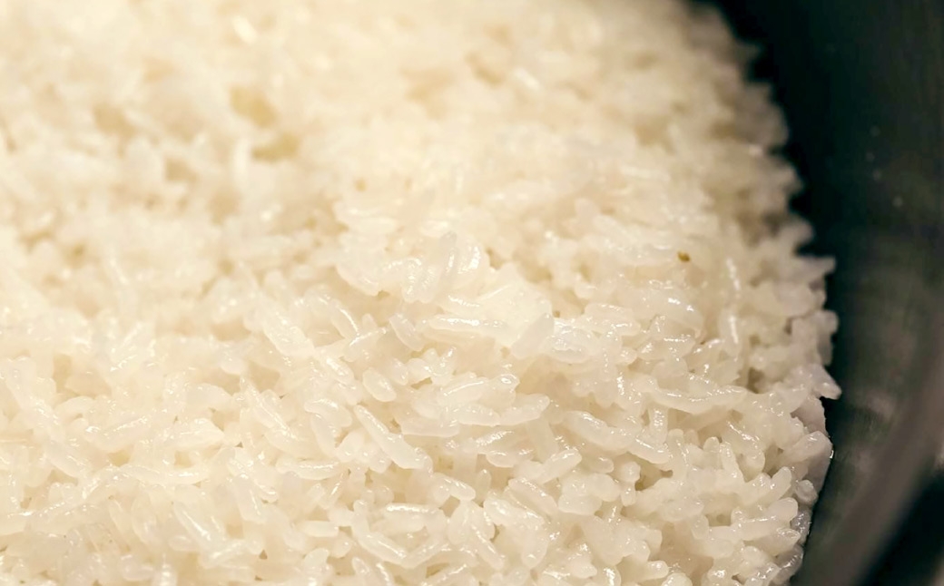 倉敷産特別栽培米朝日 10kg