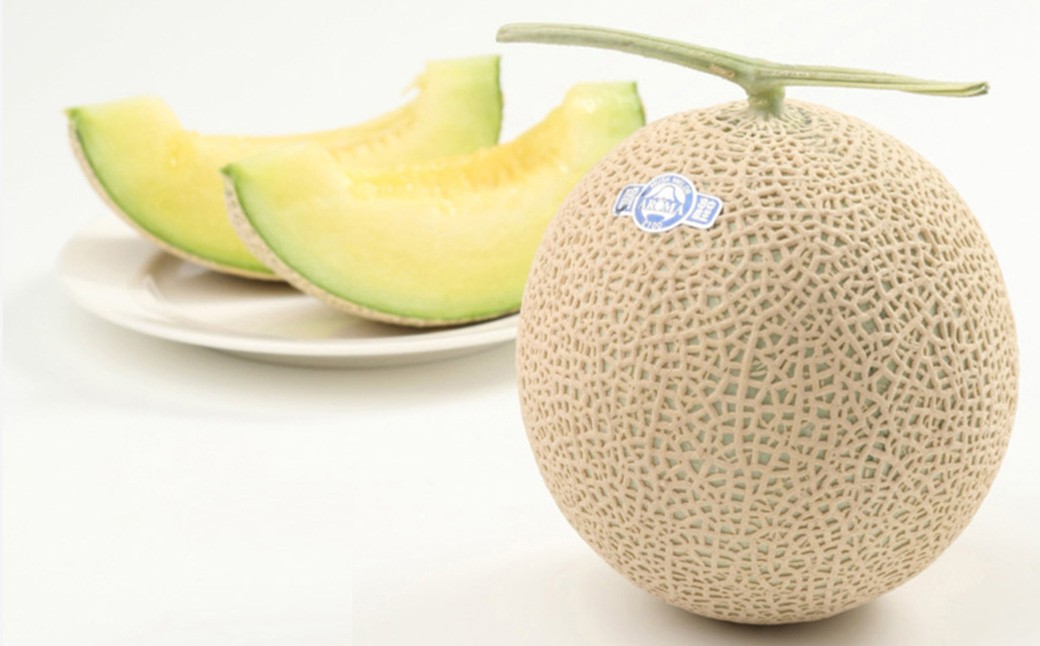  静岡県産 高級 アローマメロン