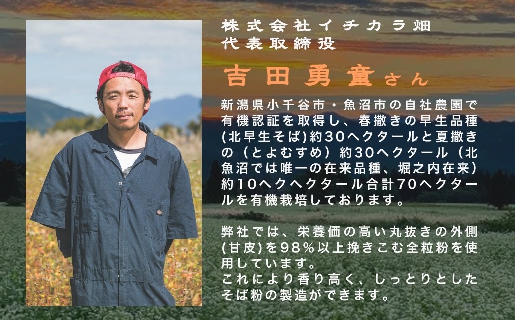 まるでなまめん　袋にお湯を注いで4分　ノンフライめん　新潟県産有機そば全粒粉使用