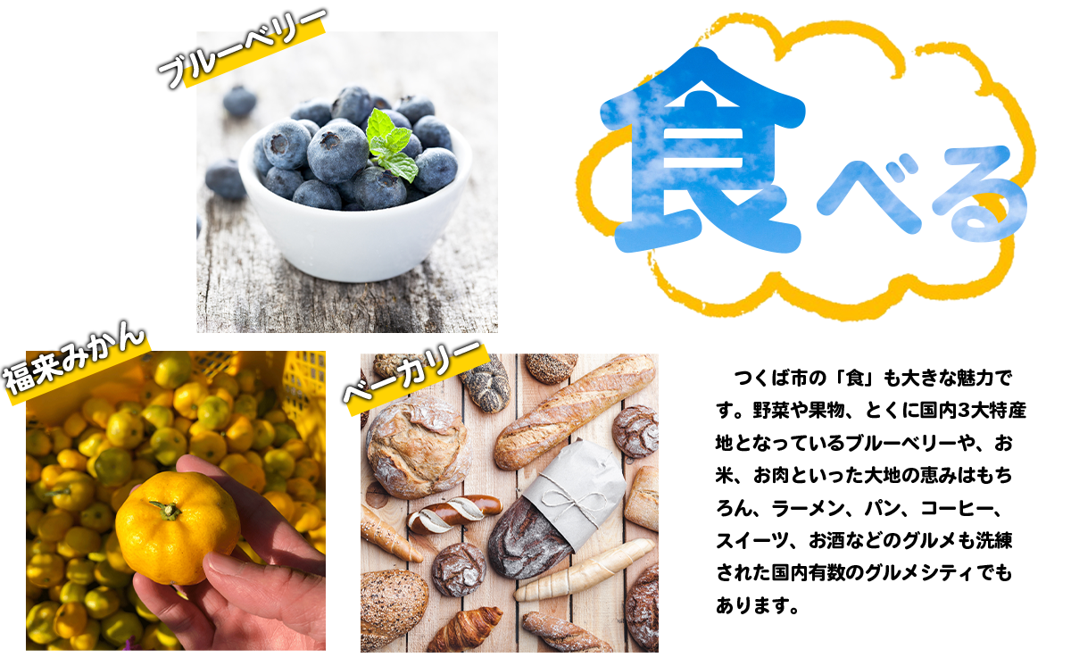 グルメな街つくば市