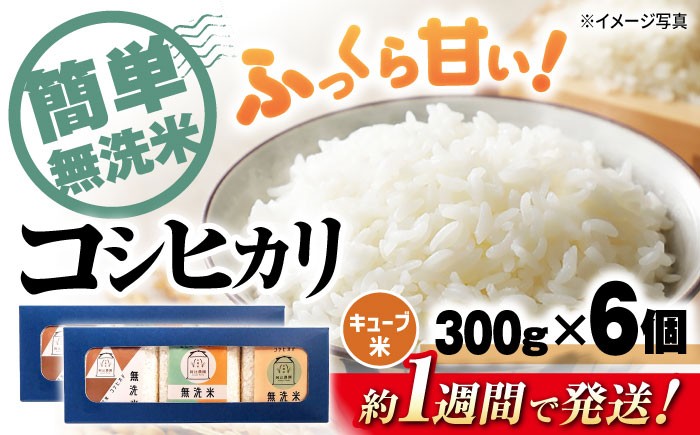 コシヒカリ 無洗米 キューブ 2合 コシヒカリ こしひかり 無洗米 真空パック 米 お米 小分け 魚のゆりかご水田 おすすめ