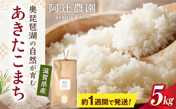  米 お米 ご飯 ごはん ゴハン 近江米 滋賀県産 長浜市産 こめ 白米 精米 お米 新米 食品 ふるさと納税 国産 炊きたて 