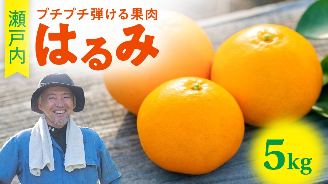 『こいけ農園』はるみ5kg