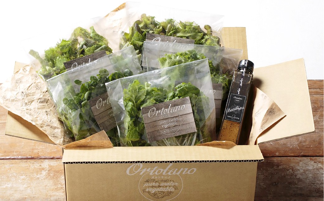 【Ortolano】ファーストクラスのサラダ＆ドレッシングセット A