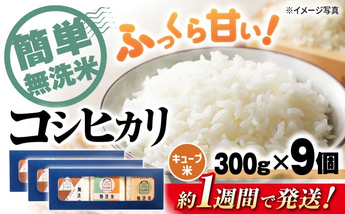 コシヒカリ 無洗米 キューブ 2合 コシヒカリ こしひかり 無洗米 真空パック 米 お米 小分け 魚のゆりかご水田 おすすめ