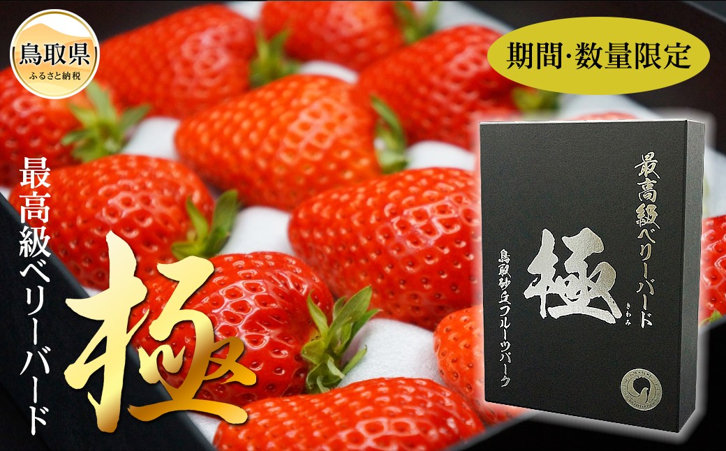 C25-047 最高級ベリーバード 『極』【期間･数量限定】