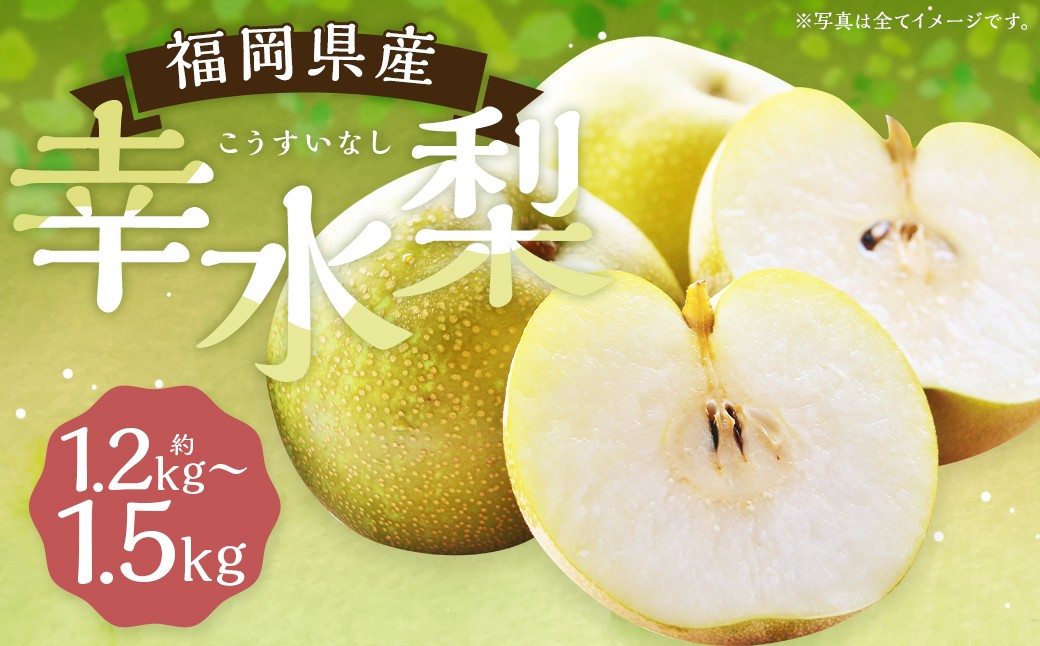 【2026年7月下旬から8月下旬発送予定】幸水梨 約1.2kg～1.5kg 3玉 【よらん野】