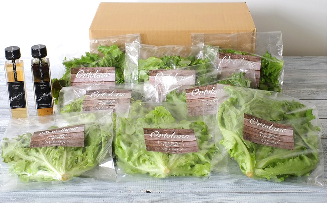 【Ortolano】ファーストクラスのサラダ＆ドレッシングセット B