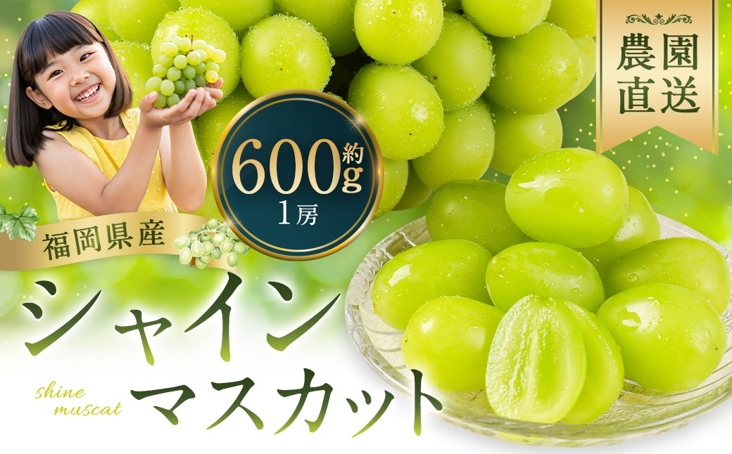  農園直送 ！ シャインマスカット 約600g 1房