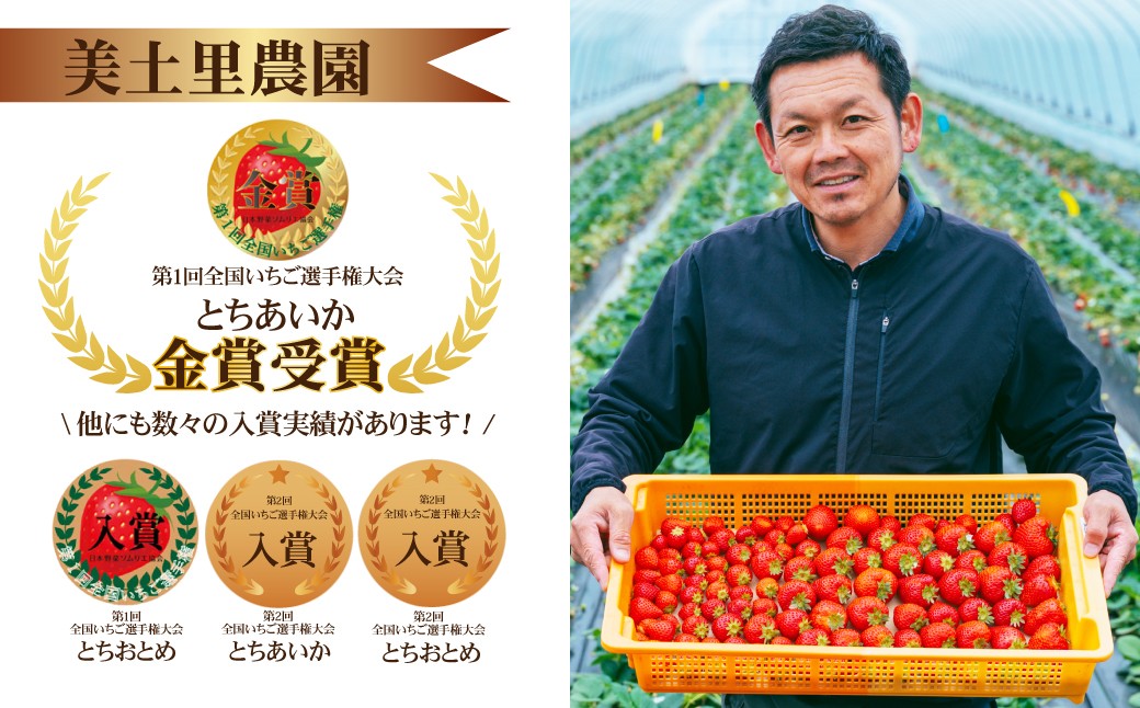 いちご イチゴ 苺 ストロベリー とちあいか 完熟 