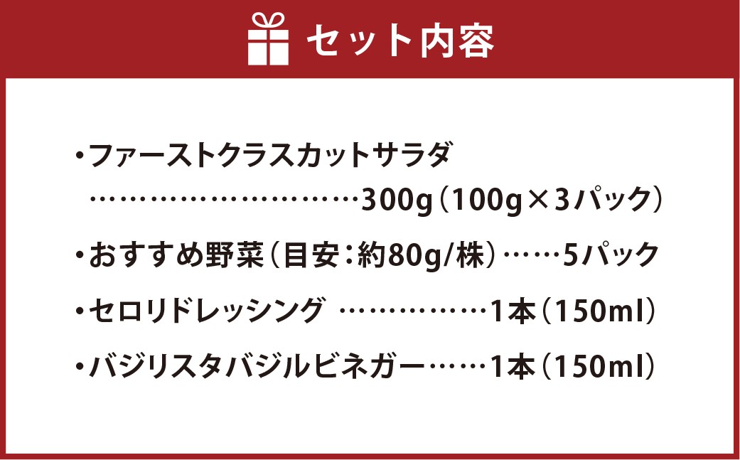 【Ortolano】ファーストクラスのサラダ＆セロリドレッシングセット S-2
