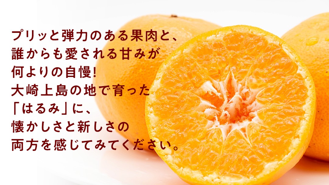 プリッと弾力のある果肉が特徴の品種「はるみ」