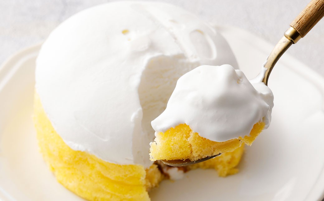 NB北海道ロールケーキ 10個入り